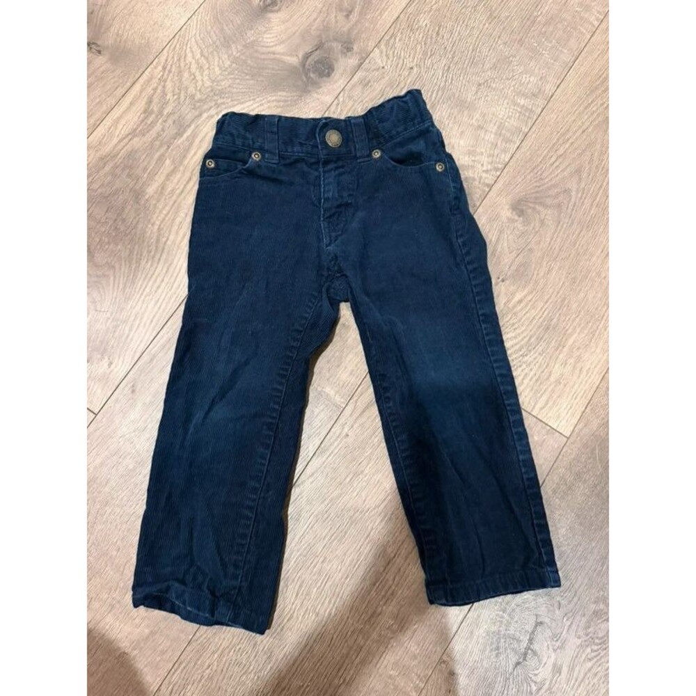 Janie and Jack boys' The Corduroy Pant in size 2T Navy